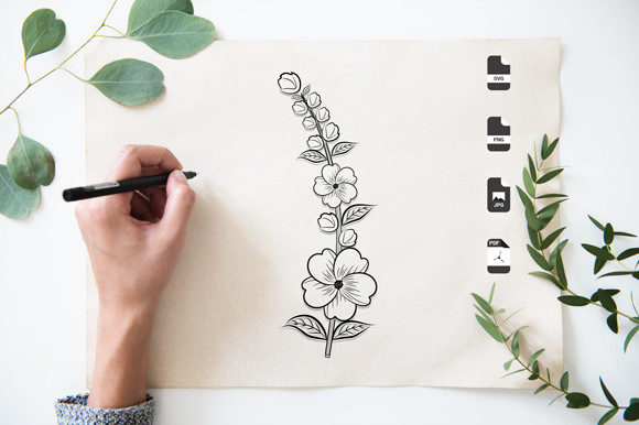 A Design Asset Review: Flower Line Art for Graphics and Coloring Pages Amp