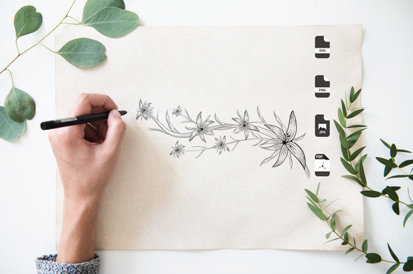 A Professional Look at the Botany Set Graphics for Coloring Pages