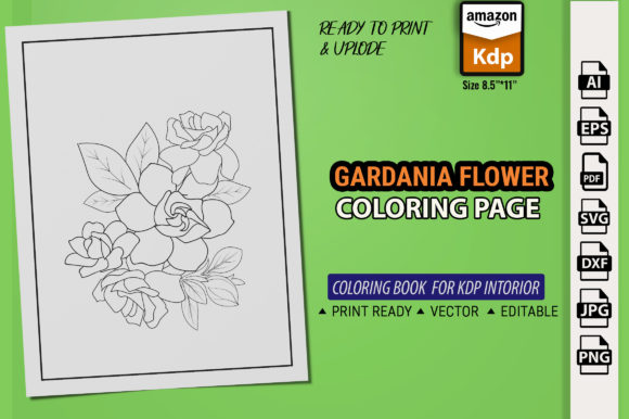 A Seller's Review: Jasmin Flower Graphics for Coloring Pages
