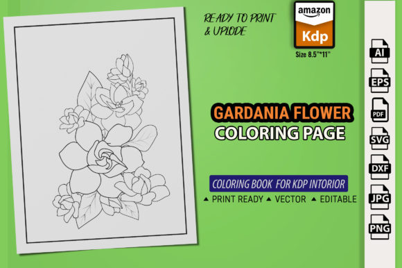Evaluating Jasmin Flower Coloring Page for Commercial Graphics & Coloring Pages