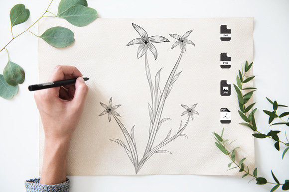 Line Art Botanical Graphics for Editorial Coloring Pages